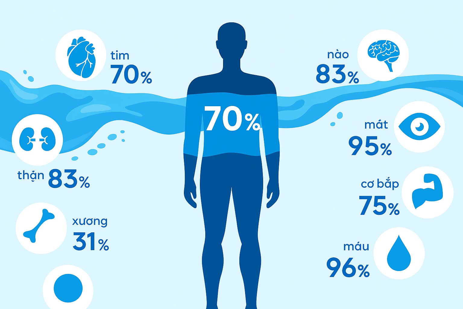 Nước tinh khiết Toplife Đà Nẵng